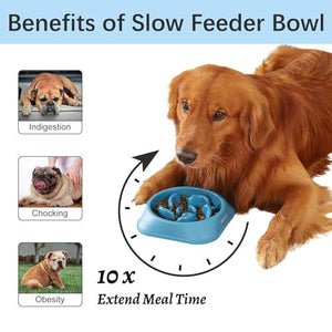 Mateeylife Slow Feeder Dog Bowls Set of 2 Anti Choking Puzzle Food Dishes Interactive Anti Bloat Bowls