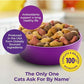 Meow Mix Original Choice Dry Cat Food Chicken Turkey Salmon Ocean Fish 22 lb Bag
