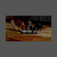 Meow Mix Original Choice Dry Cat Food Chicken Turkey Salmon Ocean Fish 22 lb Bag