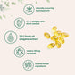 Micro Ingredients Oil of Oregano Softgels, 300 Softgels, 4x Strength with Black Seed Oil, Antioxidant & Immune Support