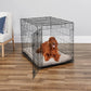 MidWest Homes for Pets Single Door ICrate Dog Crate, Leak-Proof Pan, Floor Protecting Feet, Divider Panel & Enhanced Patented Features, Ideal for Dogs