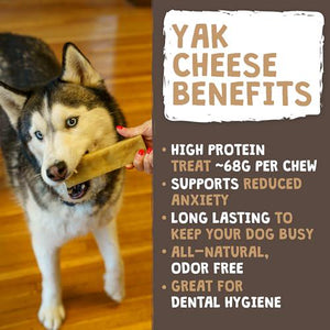 Mighty Paw Yak Cheese Dog Chews High Protein Long Lasting Odor Free Treats Large 4 Pack