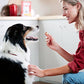 Milk-Bone MaroSnacks Dog Treats, Bacon Flavor, 40 oz, Small Dogs, 2 Pack, Crunchy Bone Marrow Biscuits