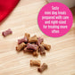Milk Bone Minis Flavor Snacks Dog Treats Crunchy Biscuits 36 oz for Training and Rewarding Small Dogs