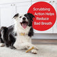 Milk-Bone Original Brushing Chews, 35 Small/Medium Dog Dental Treats, Helps Clean Teeth Daily