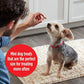 Milk Bone Soft and Chewy Mini’s Dog Treats 18 oz Chicken Made with Real Chicken Breast Perfect for Training or Rewards