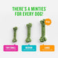 Minties Dental Chews for Medium Dogs 25 50 lbs 60 Count Mint Flavor Treats for Fresh Breath and Plaque