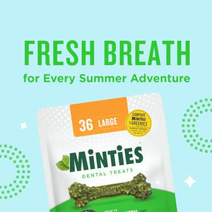 Minties Dental Chews for Large Dogs Over 50 lbs 36 Count Vet Recommended Mint Flavor Treats