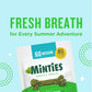 Minties Dental Dog Treats for Medium Dogs 25 50 lbs Mint Flavored 20 Count Chews