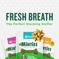 Minties Dental Chews for Medium Dogs 25 50 lbs 60 Count Mint Flavor Treats for Fresh Breath and Plaque