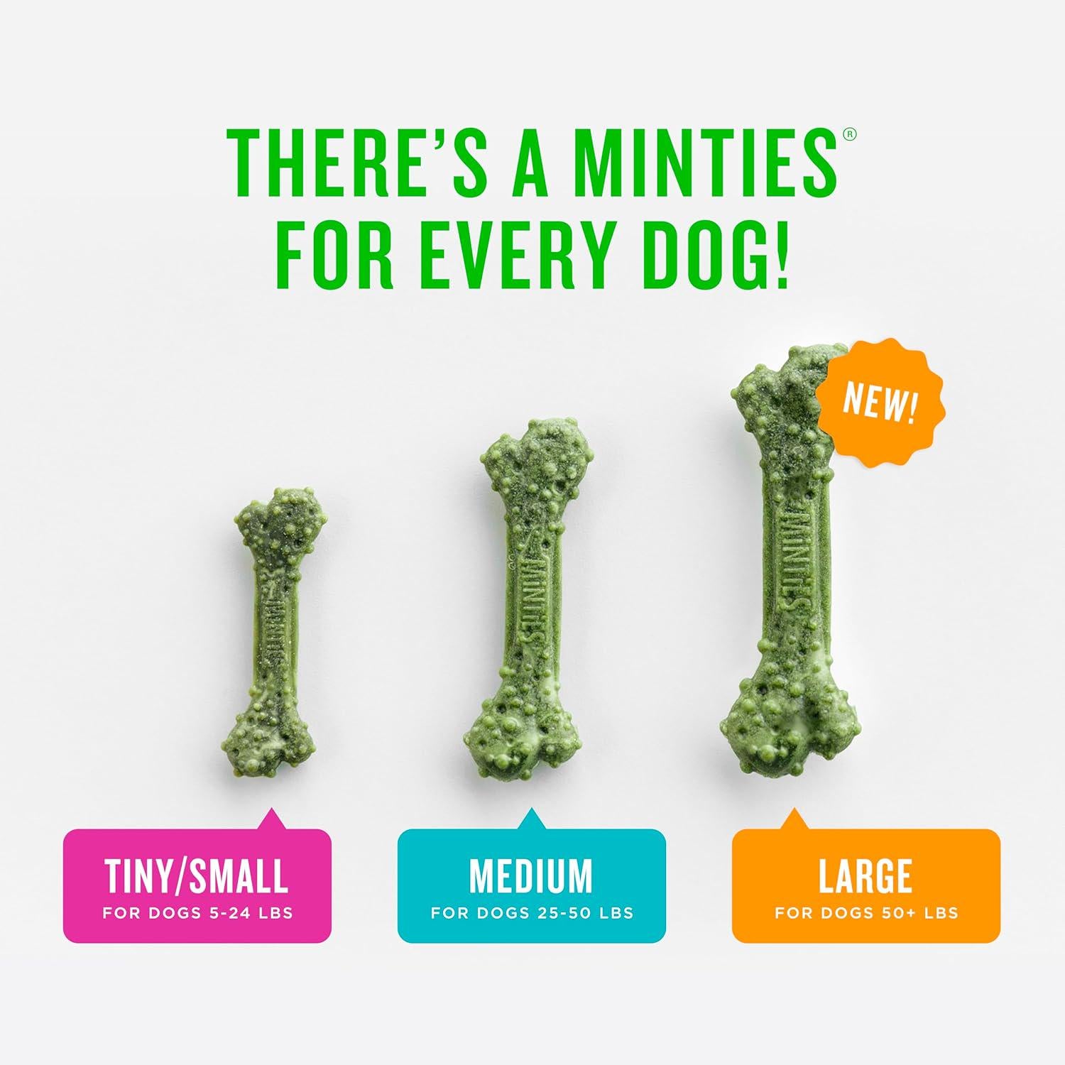 Minties Dental Chews For Dogs, 12 Count, Vet-Recommended Mint-Flavored Dental Treats For Large Dogs Over 50 Lbs, Dental Bones Clean Teeth, Fight Bad Breath, And Removes Plaque And Tartar,