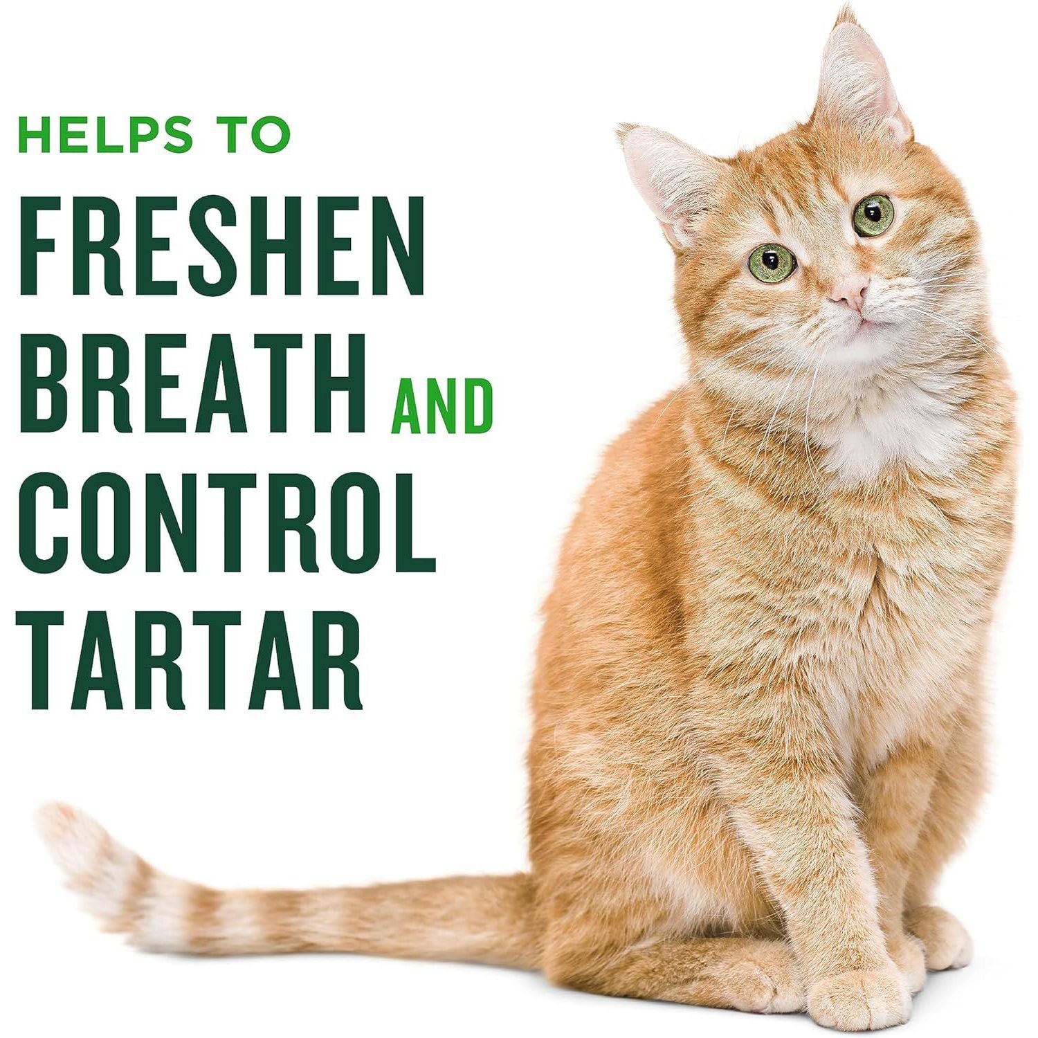 Minties Dental Treats For Cats, Chicken Flavored Treats For Cats, Freshens Breath And Controls Tartar, 10oz,