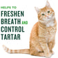 Minties Dental Treats For Cats, Salmon Flavored Treats For Cats, Freshens Breath And Controls Tartar, 10oz,