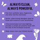 Molly's Suds Molly's Suds Liquid Laundry Detergent | Clean Laundry Detergent Soap For Sensitive Skin | 2x Concentrated, High Efficiency (HE) | Lavender - 100 Loads