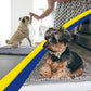 Muddy Mat Absorbent Chenille Pet Rug for Dogs Indoor Outdoor Entryway Grey 30 x 19
