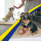 Muddy Mat Super Absorbent 30 x 19 Beige Pet Rug for Muddy Paws Non Slip Quick Dry Machine Washable