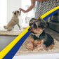 Muddy Mat Beige 35x24 Super Absorbent Microfiber Dog Door Mat Washable Quick Dry Rug for Pets