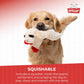 Multipet Lamb Chop Dog Plush Toy, 10”, Cream, 5 Squeakers, Extra Soft Cuddly Stuffed Toy for Small/Medium Dogs