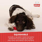 Multipet Lamb Chop Plush Squeaky Toy, 6”, Cream, Extra Soft for All Dogs, Cuddling & Playtime Toy