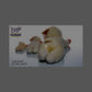 Multipet Lamb Chop Plush Squeaky Toy, 6”, Cream, Extra Soft for All Dogs, Cuddling & Playtime Toy