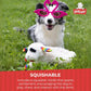 Multipet Lamb Chop Dog Toy with Birthday Hat, 10.5", Pink, Plush Squeaky Toy with 5 Squeakers, All Breeds