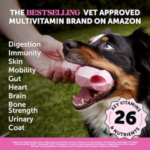 Multivitamin dog chews 90 count peanut butter flavor with glucosamine omega probiotics supports joints skin coat