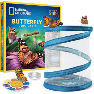 National Geographic Butterfly Growing Kit with Cage Feeder and Voucher for 5 Caterpillars Amazon Exclusive