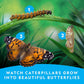 National Geographic Butterfly Growing Kit with Cage Feeder and Voucher for 5 Caterpillars Amazon Exclusive