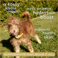 Native Pet Beef Bone Broth Dog and Cat Food Topper 48 Scoops for Hydration Joint and Immune Health