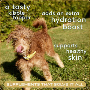 Native Pet Beef Bone Broth Dog and Cat Food Topper 48 Scoops for Hydration Joint and Immune Health