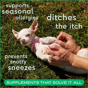 Native Pet Allergy Chews for Dogs 30 Count Relief for Itchy Skin and Seasonal Allergies with Probiotics