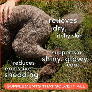 Native Pet Omega 3 Fish Oil 8 oz Liquid Supplement for Dogs and Cats Skin Coat Joint Support