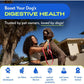 Native Pet Probiotic Powder for Dogs 60 Scoops Digestive Health with Enzymes and Prebiotics Vet Formulated