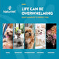 NaturVet Quiet Moments Dog Calming Chews 240 ct with Melatonin for Stress Anxiety Travel Grooming Fireworks Motion Sickness Relief