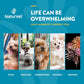 NaturVet Quiet Moments Calming Dog Chews, 70 Ct, with Melatonin for Stress, Anxiety, Storms, Fireworks