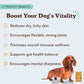 Natural Dog Company Wild Alaskan Salmon Oil 16 oz Dog Supplement with Omega 3 for Skin Coat and Joints