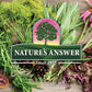 Nature's Answer Mullein Drops, 1 oz, Alcohol-Free Lung Support Supplement, Non-GMO, Made in USA