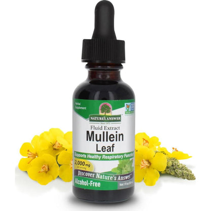 Nature's Answer Mullein Drops, 1 oz, Alcohol-Free Lung Support Supplement, Non-GMO, Made in USA