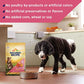 Nature's Recipe Grain Free Dog Food Salmon Sweet Potato Pumpkin 24 lb Bag