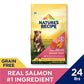 Nature's Recipe Grain Free Dog Food Salmon Sweet Potato Pumpkin 24 lb Bag