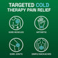 Biofreeze Cool The Pain Menthol Pain Relieving Gel Roll-On 74ml