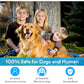 Anti-Bark Ultrasonic Dog Device, Rechargeable Bark Control Tool, Indoor/Outdoor, Range 16.4 ft, Safe for Pets