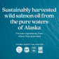 New Chapter Wholemega Sustainably Sourced Wild Salmon Fish Oil Softgels