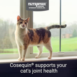 Nutramax Cosequin joint health supplement for cats 60 soft chews with glucosamine chondroitin and omega 3