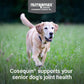 Nutramax Cosequin Joint Supplement for Senior Dogs, 120 Soft Chews, Omega-3, MSM, Glucosamine, Chondroitin