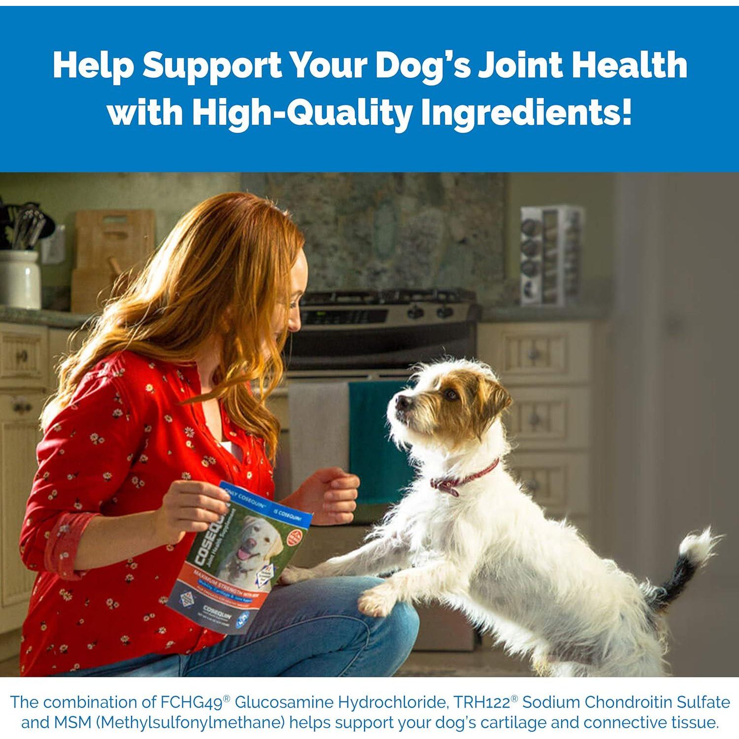 Nutramax Laboratories Cosequin Maximum Strength Joint Health Supplement For Dogs - With Glucosamine, Chondroitin, And MSM, 60 Chewable Tablets,