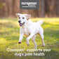 Cosequin Max Joint Health Chew Tabs for Dogs, 75 Ct, With Glucosamine, MSM, Chondroitin & Hyaluronic Acid