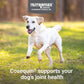 Cosequin Maximum Strength Joint Health Supplement for Dogs 250 Chewable Tablets with MSM