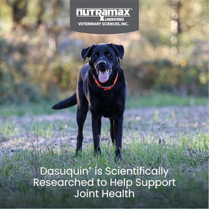Nutramax Dasuquin Joint Health Soft Chews for Large Dogs, 84 Ct, With Glucosamine & Chondroitin