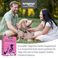 Nutramax Proviable Probiotic Health Supplement for Dogs & Cats, 30 Ct, Digestive Support Capsules